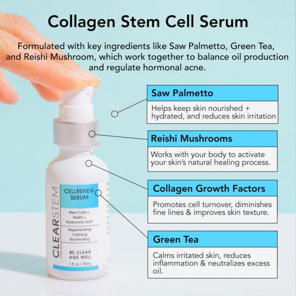 CLEARSTEM - CELLRENEW - Collagen Stem Cell Serum - Acne + Youthful Skin Face Serum - Hyaluronic Acid, Reishi, Aloe Vera - Facial Skin Care Products - Vegan, Gluten Free, Cruelty Free - 1 fl oz / 29ml - Image 4