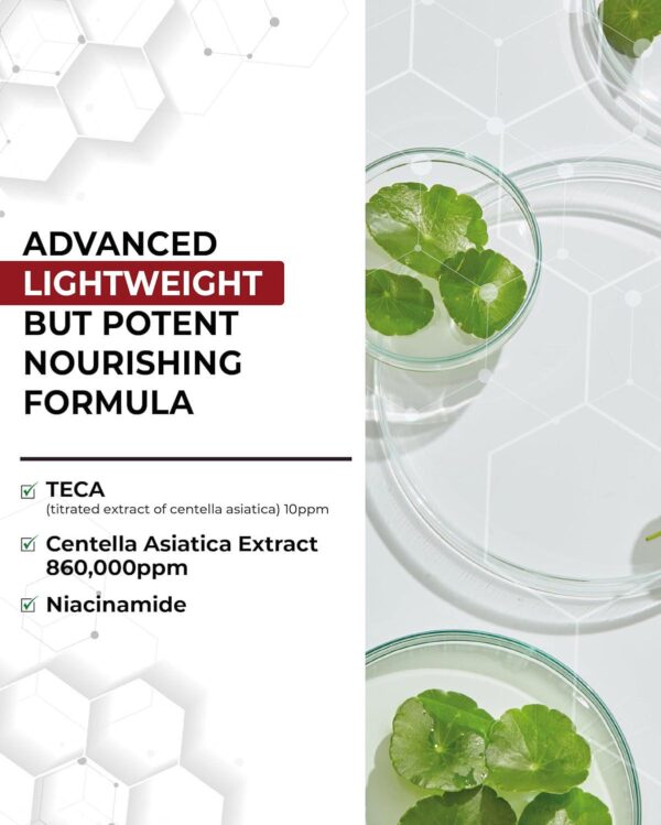 Christmas Gifts Centellian 24 Toning Essence Treatment for Even Skin Tone and Wrinkle Improvement with TECA, Centella Asiatica, Niacinamide (10.14 fl oz) by Dongkook Pharmaceutical - Image 3