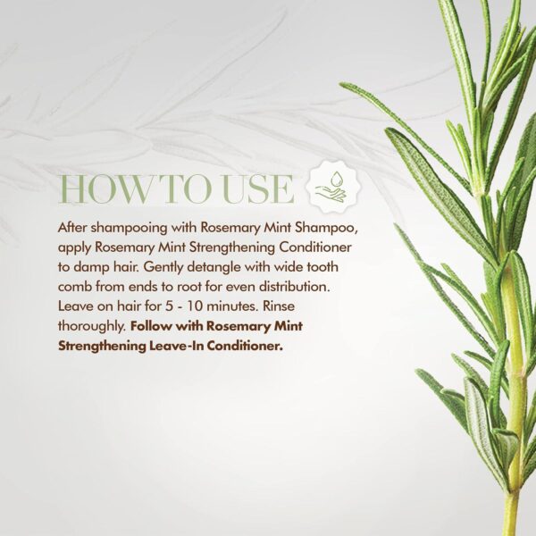 Mielle Organics Rosemary Mint Strengthening Conditioner with Biotin, 12 Ounce - Image 5