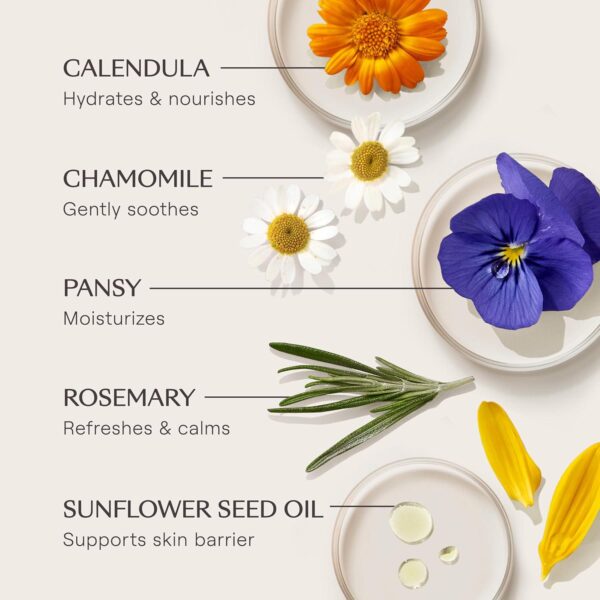Weleda Skin Food Light Nourishing Body Cream 2.5 Fluid Ounce, Plant Rich Hydrating Moisturizer with Chamomile, Calendula and Pansy - Image 7